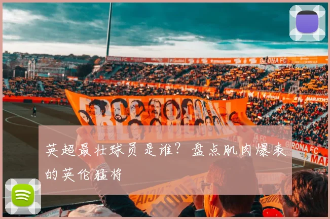 英超最壮球员是谁？盘点肌肉爆表的英伦猛将