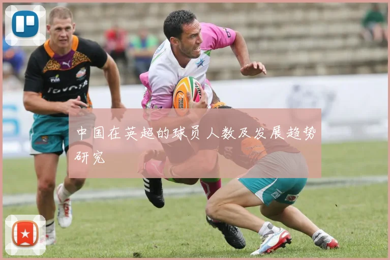 中国在英超的球员人数及发展趋势研究