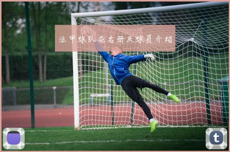 法甲球队花名册及球员介绍