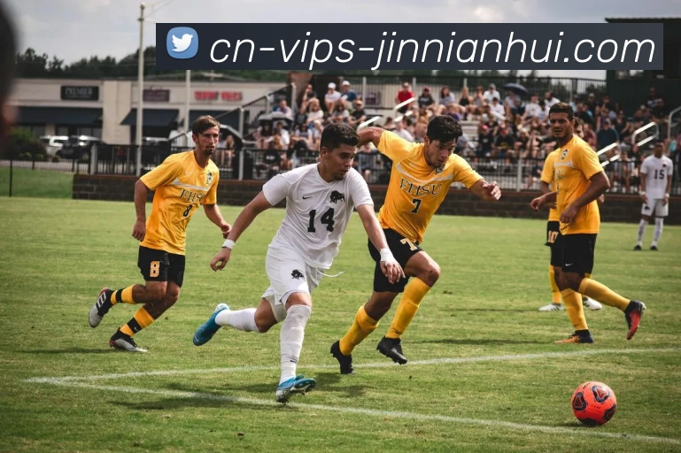 多媒体互动体验